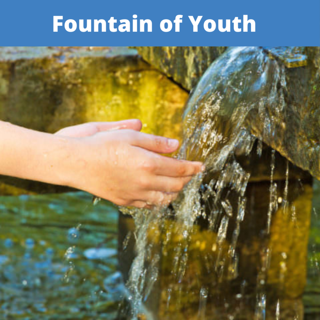 Fountain of Youth Stowe Training Systems fountain of youth