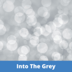 Into The Grey